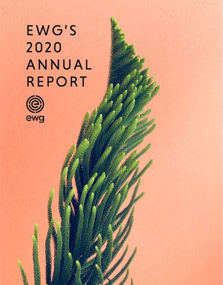 EWG 2020 Annual Report